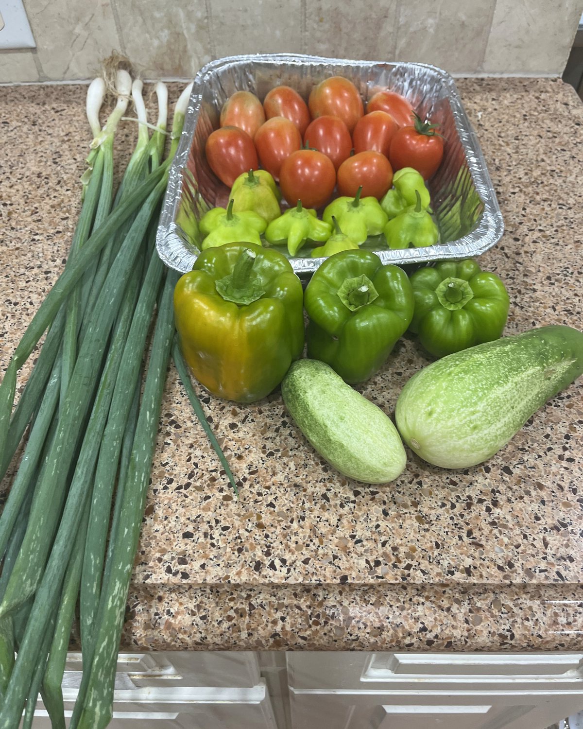 A morning's harvest on the kitchen counter: Roma tomatoes, banana peppers, bell peppers, cucumbers and a bunch of green onions.